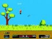 Duck hunt