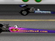 Goosehead race 2