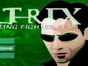 Matrix fighter beta