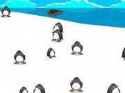 Penguin panic