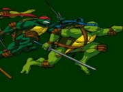 Ninja turtles