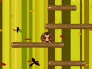 Hedge hog