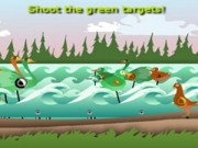 Shoot the birds