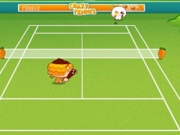 Crazy tennis