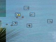 River defense