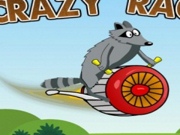 Crazy Raccoon