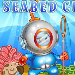 Seabed Cleaner
